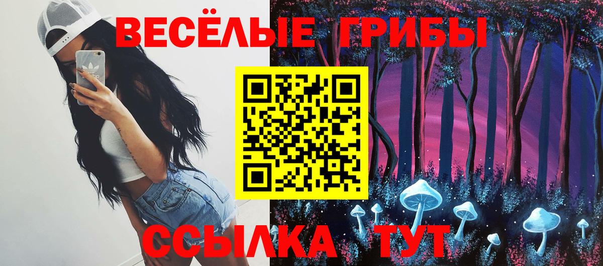 Грозный  Псилоцибиновые грибы Cubensis  Вход с VPN 